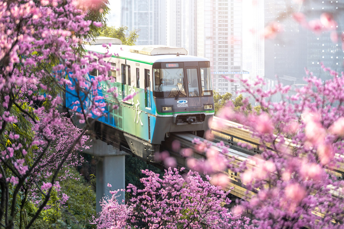 Bức tranh mùa xuân ngập sắc hoa đào ở Trung Quốc